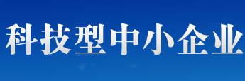 科技型中小企業(yè)